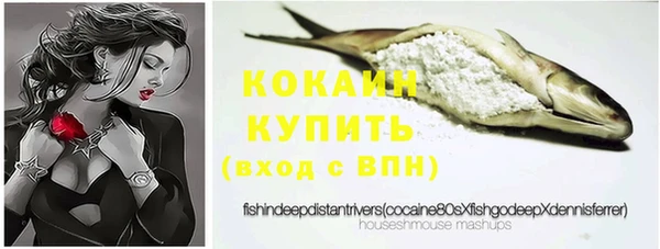 спайс Инта