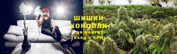 спайс Инта