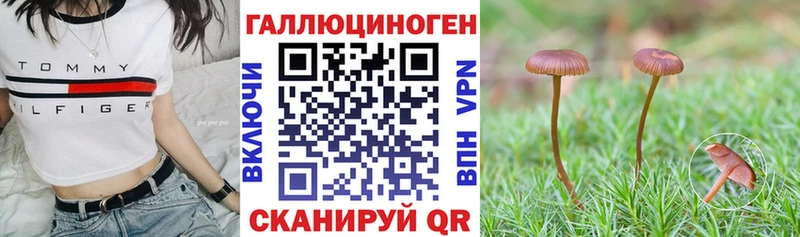Галлюциногенные грибы Magic Shrooms  Купить где  Аткарск 